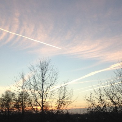 Talentcard van Steve Sobot