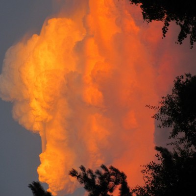 Talentcard van Gerrie Brouwer-Dijkstra