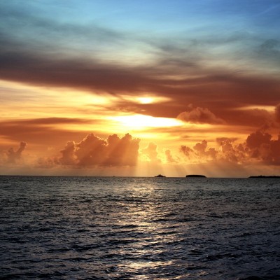 Talentcard van Marina Prochuhan