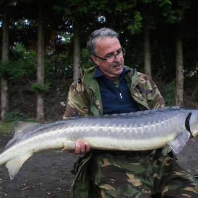 Talentcard van Arie van den Berg