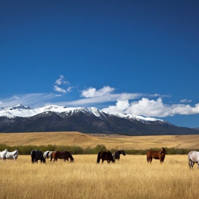 Talentcard van John Mertens