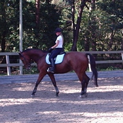 Talentcard van Lisette Smink