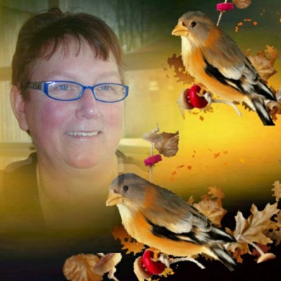 Talentcard van lammie brink