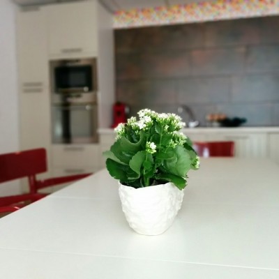 Talentcard van Ashley Sterken